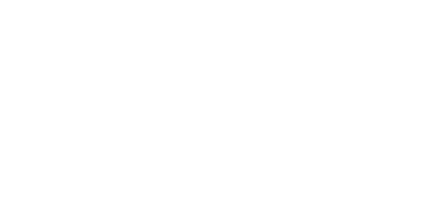 Buffalo Wings logo
