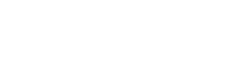 Universidad Externado