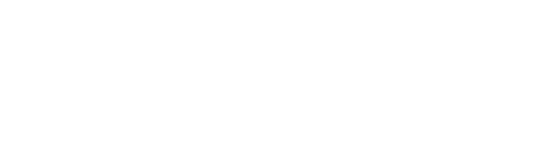 Universidad Externado