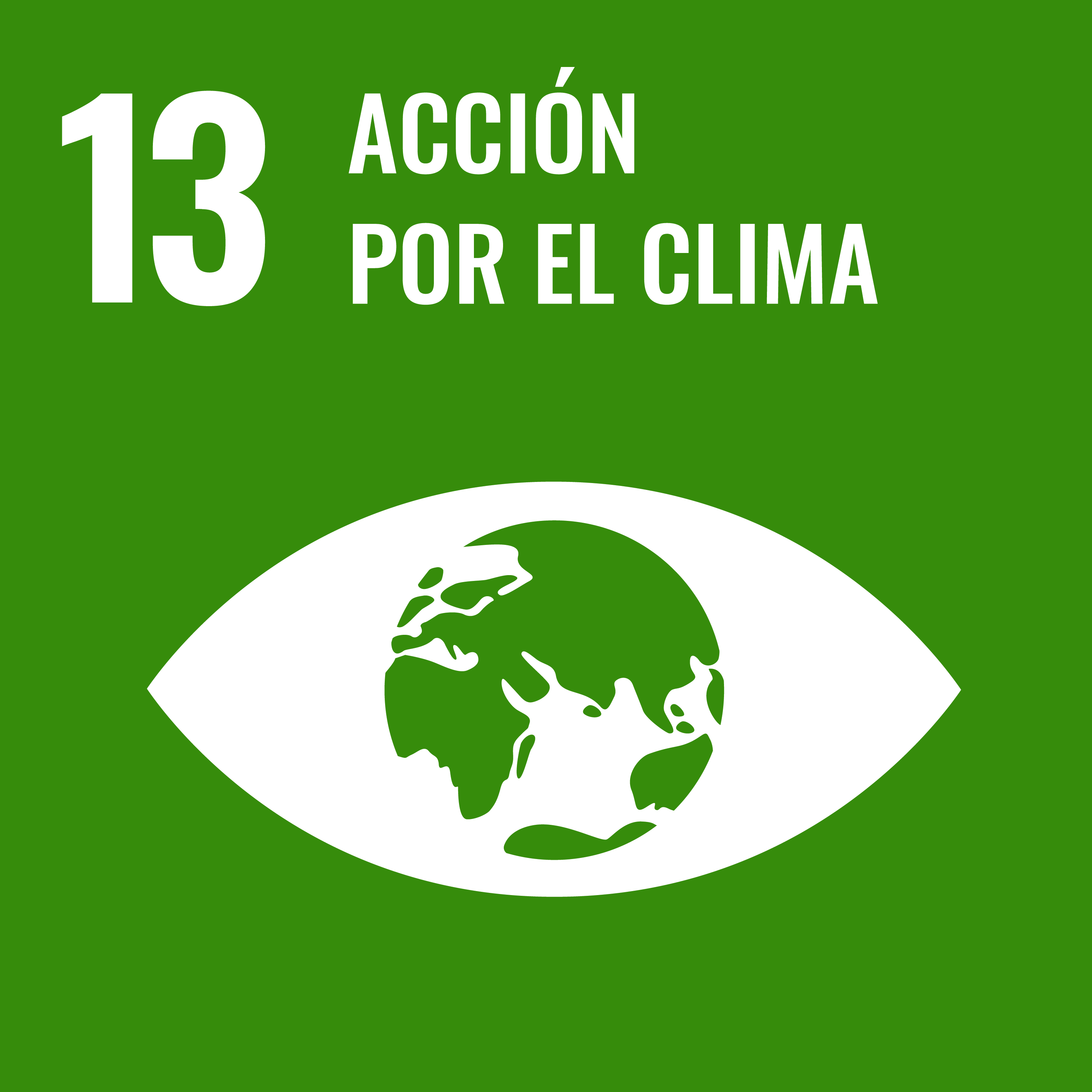 ODS 13 — Acción por el clima