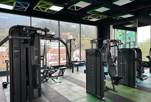 city u gimnasio