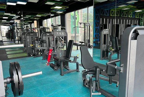 city u gimnasio